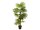 EUROPALMS Fan Palm, artificial plant, 130cm