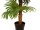 EUROPALMS Fan palm, artificial plant, 130cm