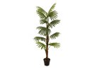 EUROPALMS Fan Palm, artificial plant, 155cm