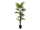 EUROPALMS Fan Palm, artificial plant, 155cm