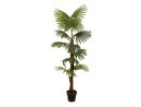 EUROPALMS Fan palm, artificial plant, 155cm