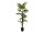EUROPALMS Fächerpalme, Kunstpflanze, 155cm