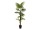EUROPALMS Fan Palm, artificial plant, 155cm