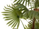 EUROPALMS Fan palm, artificial plant, 165cm