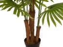 EUROPALMS Fan Palm, artificial plant, 165cm