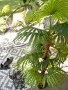 EUROPALMS Fächerpalme, Kunstpflanze, 165cm