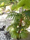 EUROPALMS Fan Palm, artificial plant, 165cm