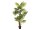EUROPALMS Fan Palm, artificial plant, 165cm