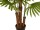 EUROPALMS Fan Palm, artificial plant, 165cm