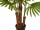 EUROPALMS Fan palm, artificial plant, 165cm