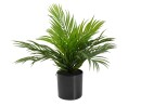 EUROPALMS Areca Palm, artificial plant, 46 cm