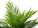 EUROPALMS Areca Palm, artificial plant, 46 cm