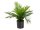 EUROPALMS Goldfruchtpalme, Kunstpflanze, 46 cm