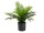 EUROPALMS Areca Palm, artificial plant, 46 cm