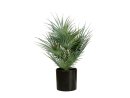 EUROPALMS Fan palm, artificial plant, 55cm