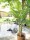 EUROPALMS Areca palm, 2 trunks, artificial plant, 120cm