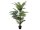 EUROPALMS Areca palm, artificial plant, 150cm