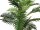 EUROPALMS Areca Palme, Kunstpflanze, 150cm