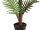 EUROPALMS Areca Palme, Kunstpflanze, 150cm