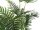 EUROPALMS Areca palm, artificial plant, 180cm