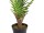 EUROPALMS Areca palm, artificial plant, 180cm