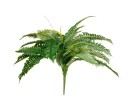 EUROPALMS Boston Fern, artificial plant,53cm