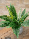 EUROPALMS Boston Fern, artificial plant,53cm