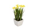 EUROPALMS Daffodil, artificial plant, 23cm