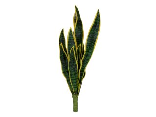 EUROPALMS Snake Tongue (EVA), artificial, green-yellow, 60cm