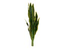 EUROPALMS Snake Tongue (EVA), artificial, green-yellow, 60cm