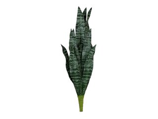 EUROPALMS Snake Tongue (EVA), artificial, green, 60cm