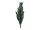 EUROPALMS Snake Tongue (EVA), artificial, green, 60cm