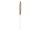 JOLIPA Pampas Grass Branch, dried, natural, 137cm