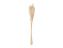 JOLIPA Pampas grass straw bunch, dried, natur, 75cm