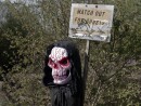 EUROPALMS Halloween Blood Skull, 80cm