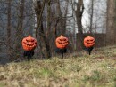 EUROPALMS Halloween Pumpkins with Stake, Set of 3, 39cm