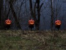 EUROPALMS Halloween Pumpkins with Stake, Set of 3, 39cm