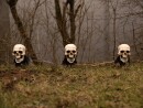 EUROPALMS Halloween Skeleton Head with Stake, Set of 3, 29cm