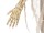 EUROPALMS Halloween Figure Mummy, animated, 160cm