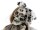 EUROPALMS Halloween Figure Bride, animated, 170cm