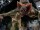 EUROPALMS Halloween Figure BAT, animated 95cm