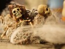 EUROPALMS Halloween Spider Web White 50g