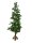 Tannenbaum Spritzguß und echtem Holzstamm,H:150cm, Sonderverkauf