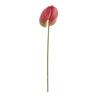 Flamingo flower out of plastic, flexible     Size: 63cm, stem: 48cm    Color: pink