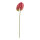 Flamingo flower out of plastic, flexible     Size: 63cm, stem: 48cm    Color: pink