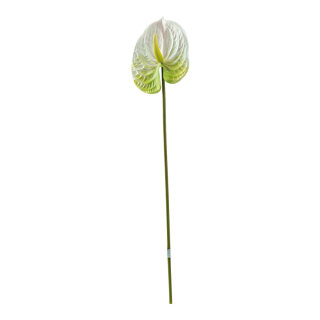 Flamingo flower out of plastic, flexible     Size: 63cm, stem: 48cm    Color: white