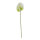 Flamingo flower out of plastic, flexible     Size: 63cm, stem: 48cm    Color: white