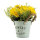 Daisy in pot out of plastic/artificial silk     Size: 20cm, pot: Ø 11cm    Color: yellow