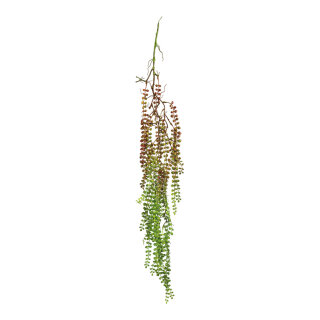 Hanging plant out of plastic, to hang     Size: 120cm    Color: green/brown