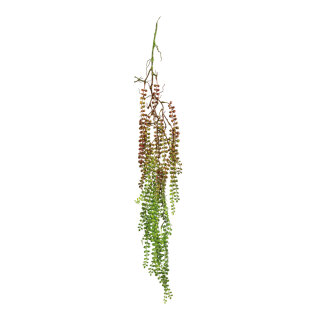 Hanging plant out of plastic, to hang     Size: 120cm    Color: green/brown